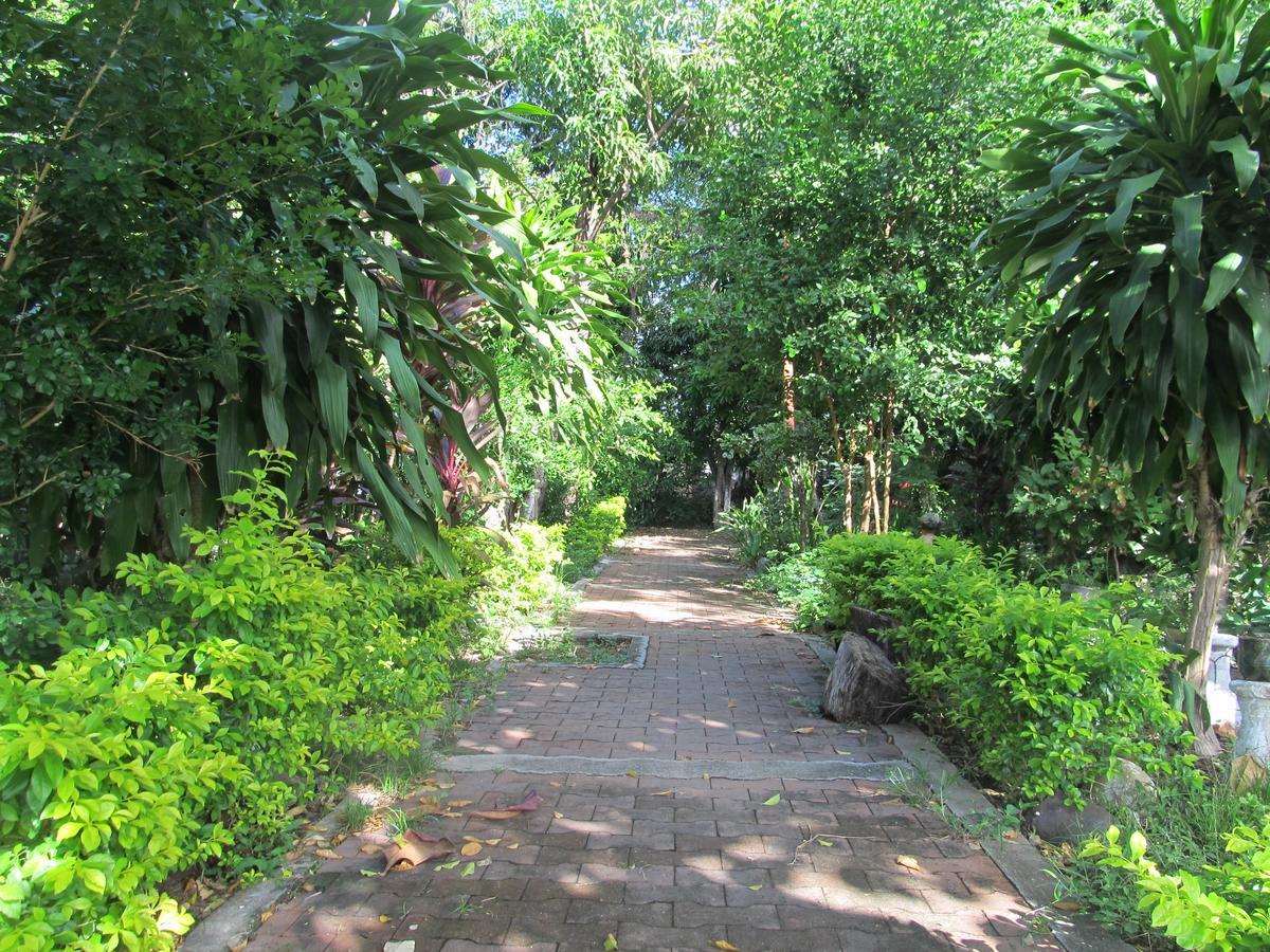 Backpackers And Travellers Hostel Neiva  Exteriör bild